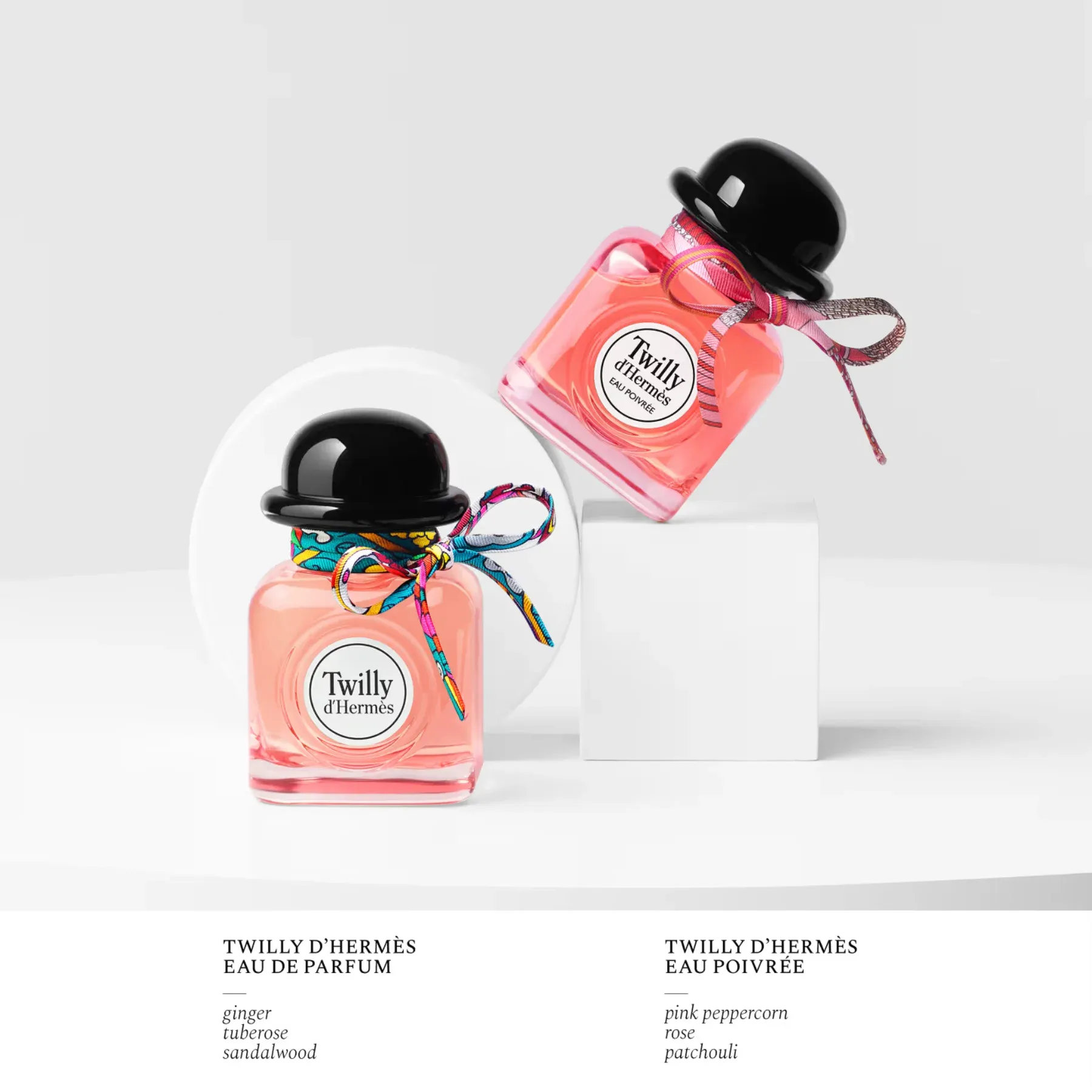 TWILLY EDP E P